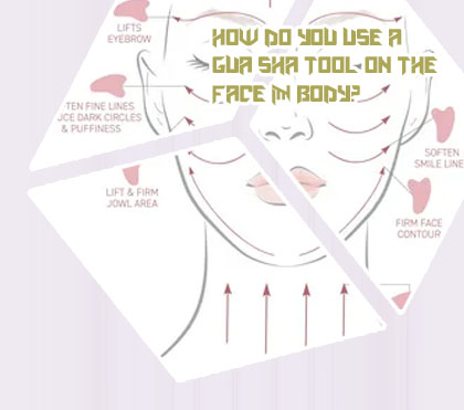 Gua sha back chart